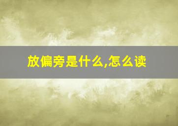 放偏旁是什么,怎么读