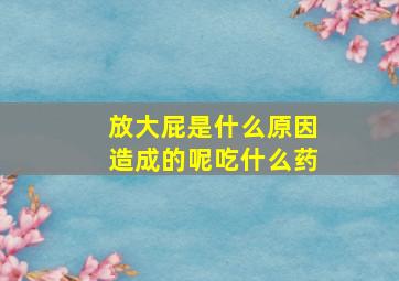 放大屁是什么原因造成的呢吃什么药