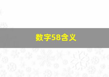 数字58含义