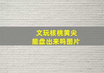 文玩核桃黄尖能盘出来吗图片