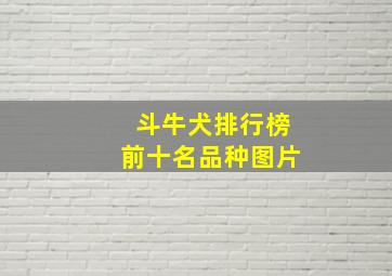 斗牛犬排行榜前十名品种图片