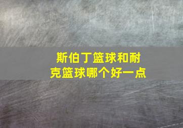 斯伯丁篮球和耐克篮球哪个好一点