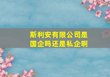 斯利安有限公司是国企吗还是私企啊