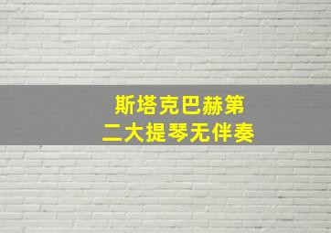 斯塔克巴赫第二大提琴无伴奏