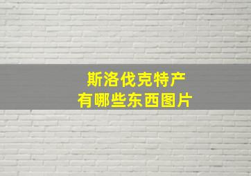 斯洛伐克特产有哪些东西图片