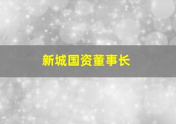 新城国资董事长