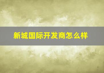 新城国际开发商怎么样