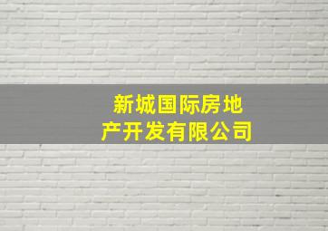 新城国际房地产开发有限公司