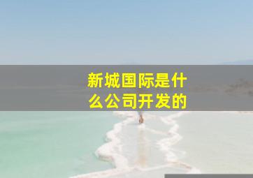 新城国际是什么公司开发的