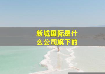 新城国际是什么公司旗下的