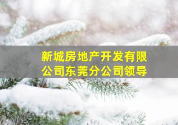 新城房地产开发有限公司东莞分公司领导