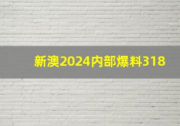 新澳2024内部爆料318