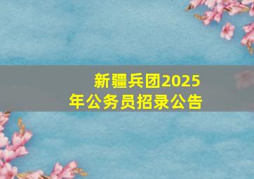 新疆兵团2025年公务员招录公告