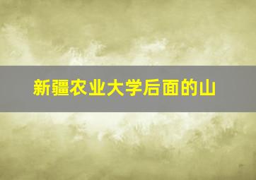 新疆农业大学后面的山