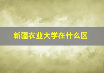 新疆农业大学在什么区