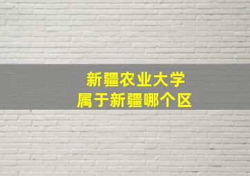 新疆农业大学属于新疆哪个区