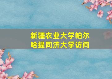 新疆农业大学帕尔哈提同济大学访问