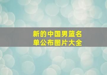 新的中国男篮名单公布图片大全