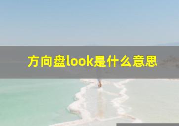 方向盘look是什么意思