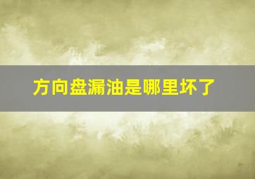 方向盘漏油是哪里坏了