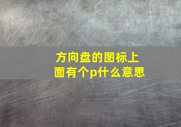 方向盘的图标上面有个p什么意思