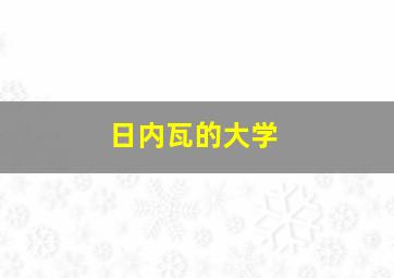 日内瓦的大学