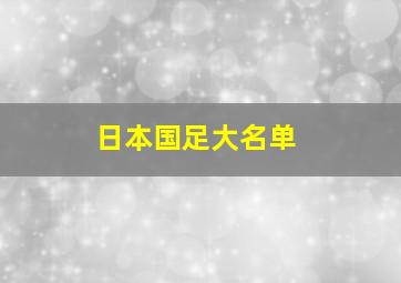 日本国足大名单