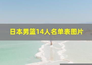 日本男篮14人名单表图片