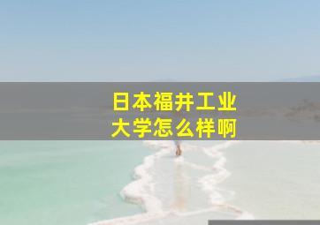 日本福井工业大学怎么样啊