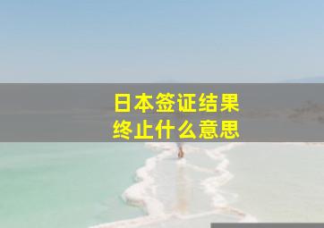 日本签证结果终止什么意思