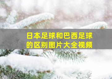 日本足球和巴西足球的区别图片大全视频