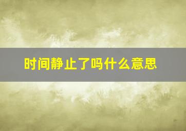 时间静止了吗什么意思