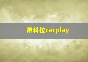 昂科拉carplay