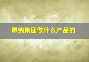 昂纳集团做什么产品的