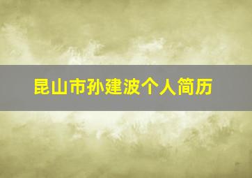 昆山市孙建波个人简历