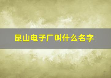 昆山电子厂叫什么名字