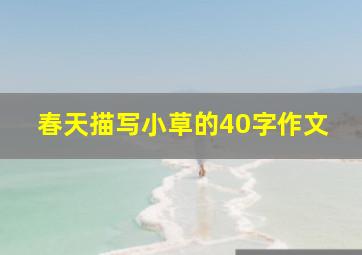 春天描写小草的40字作文