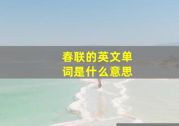 春联的英文单词是什么意思