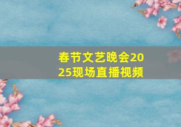 春节文艺晚会2025现场直播视频