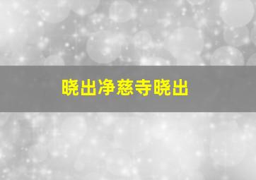 晓出净慈寺晓出