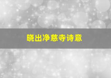 晓出净慈寺诗意