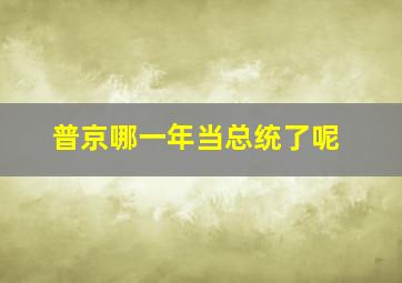 普京哪一年当总统了呢