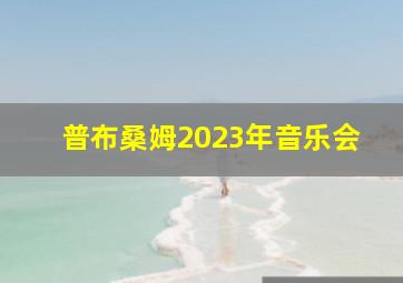 普布桑姆2023年音乐会