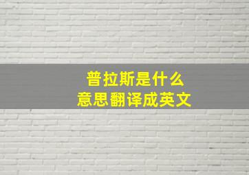 普拉斯是什么意思翻译成英文