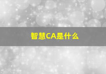 智慧CA是什么