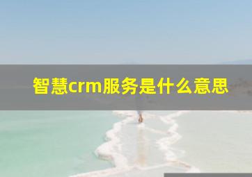 智慧crm服务是什么意思