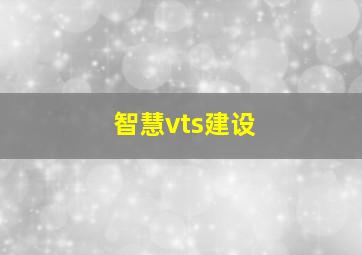 智慧vts建设