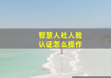 智慧人社人脸认证怎么操作