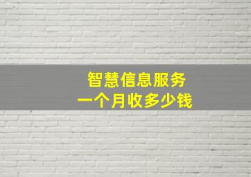 智慧信息服务一个月收多少钱