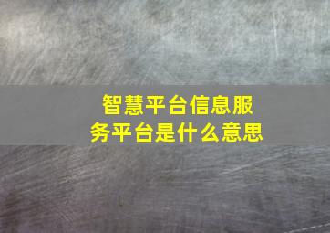 智慧平台信息服务平台是什么意思